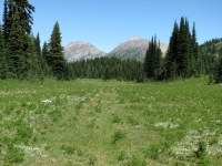 Palliser Pass